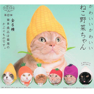 키탄클럽 고양이모자 귀엽고 귀여운 고양이야채 (6종 세트)